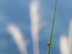 -东天目山风景区