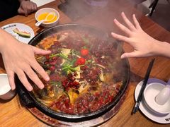 -老板恋上鱼(恒隆广场店)