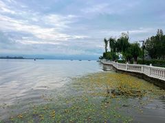 -西昌邛海湿地