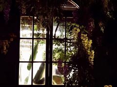 -第101座花园餐厅(湖滨88店)