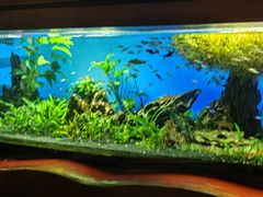 -太平洋海底世界