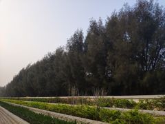 -宝安西湾红树林湿地公园