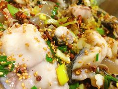 炝藏龙鱼-万和源炝锅城·活鱼现炝(文艺北路店)