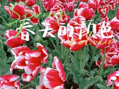 -玄武湖景区-情侣园游乐场