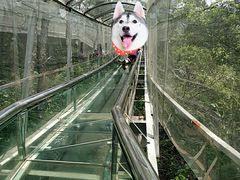 -牛鱼嘴原始生态风景区