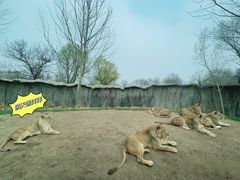 -北京野生动物园