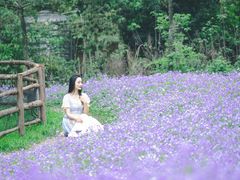 -秀丽东方