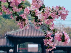 -海棠花溪(元大都城垣遗址公园)