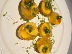 -桂满陇·海市蜃楼·黑金(国金店)