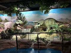 -国家自然博物馆