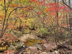 -丹东天桥沟景区