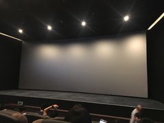 -深影国际影城(学院南路店CGS中国巨幕店)