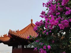 -南沙天后宫景区
