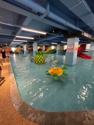 -宝燕乐园(闵行旗舰店)