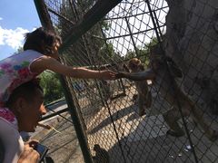 -新疆天山野生动物园