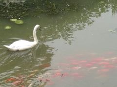 -无锡动物园·太湖欢乐园