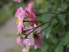 -白鹭湾湿地公园