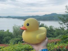 -天目湖涵田半山温泉