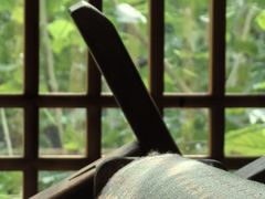 -苏州丝绸博物馆