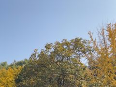 -食膳公园包子铺(烈士公园店)