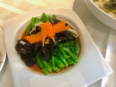 白灼云耳菜苗-皇朝尊会(龙之梦大酒店)