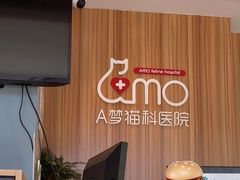 -御宝贝·A梦猫科宠物医院(国际猫友好医院)