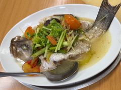 -金龙酒家