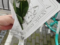-FEI FEI FLOWER鲜花店·气球派对·宝宝宴布置(虹口德必运动Loft店)