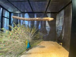 -酷嗒动物文化乐园(cutezoo西溪乐天城店)