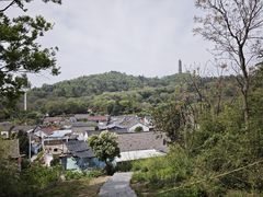 -巢湖姥山岛
