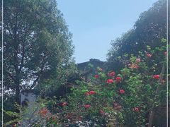 -花间酒庭院餐厅(谷山店)