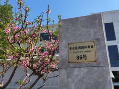 -丰台区少年宫