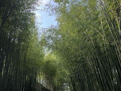 -竹泉村旅游度假区