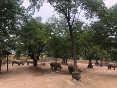 -西安秦岭野生动物园