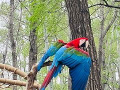 -北京野生动物园