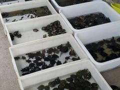 -华声天桥民俗文化园