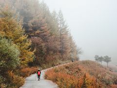 -丰都鬼城名山景区