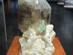 -湖南省地质博物馆