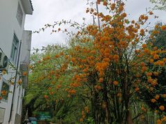 -西溪南古村落