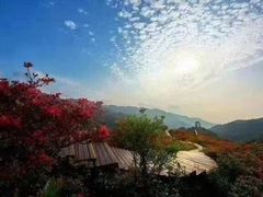 -大围山国家森林公园