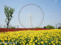 -泰山天颐湖旅游度假区