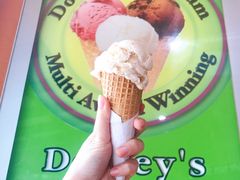 -Dooley's Premium Ice Cream