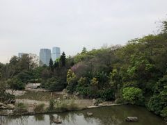 -云溪植物园