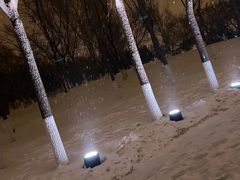 -长春世界雕塑园冰雪艺术天地