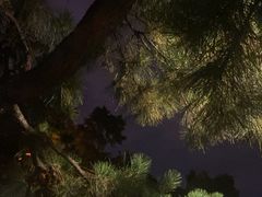 -郭守敬纪念馆