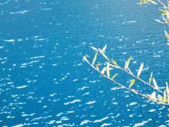 -叠溪松坪沟景区