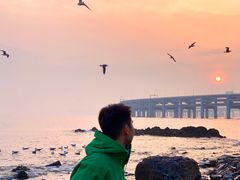 -星海湾跨海大桥