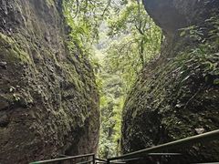 -青城山