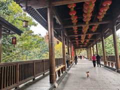 -五凤溪古镇