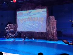 -华夏文旅西安度假区